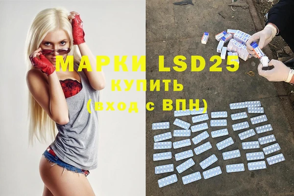 круглые Осинники