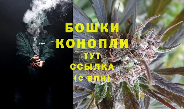 эйфоретик Осташков
