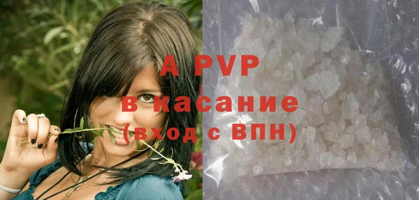 круглые Осинники