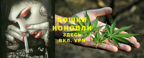 круглые Осинники